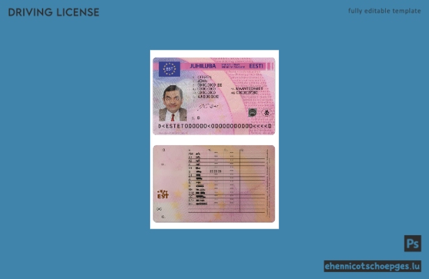 Beispiel für einen estnischen Führerschein